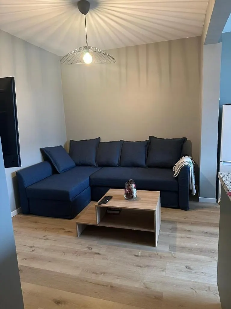 Coup De Coeur Grenoblois Apartment Grenoble